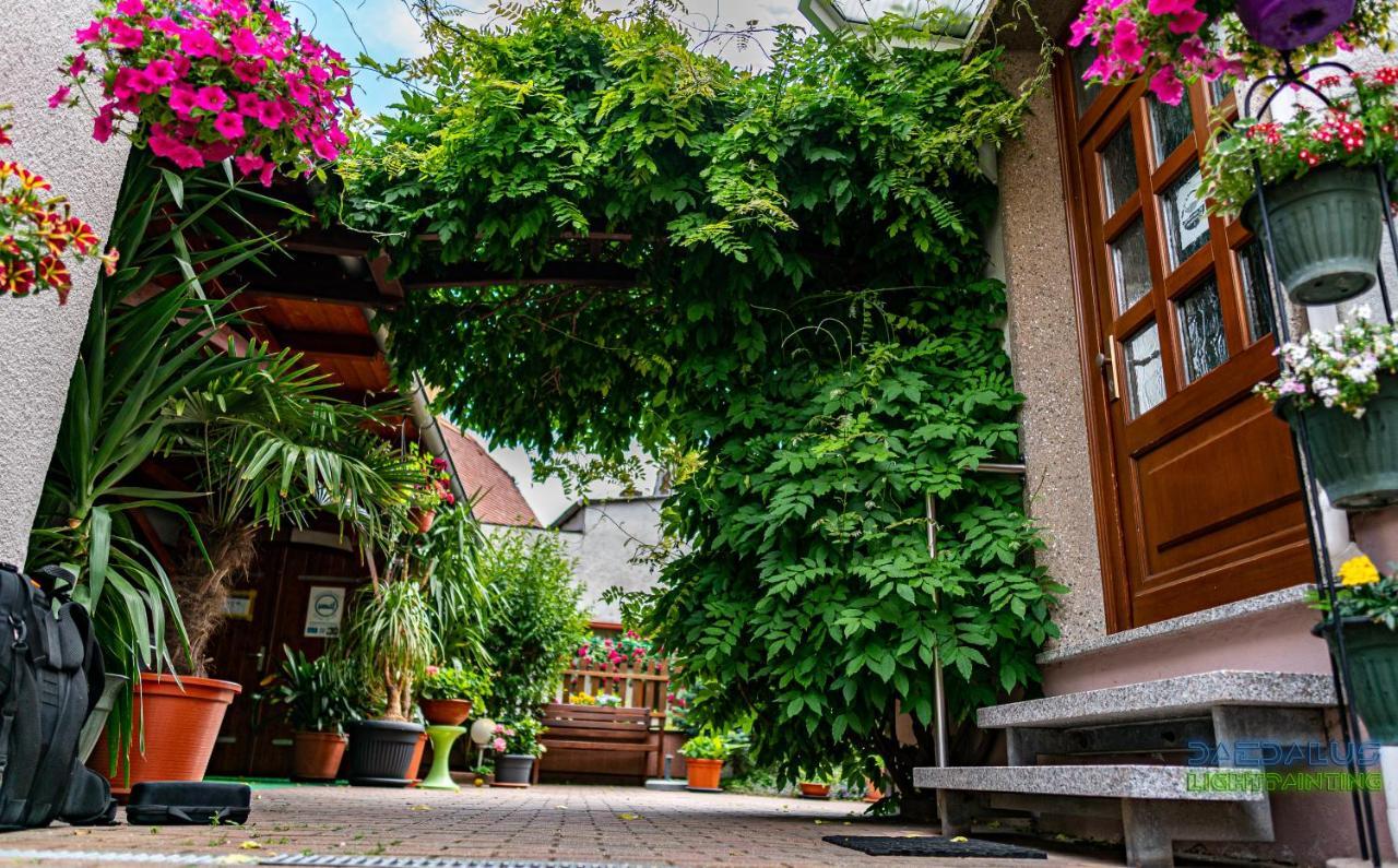 Pension Borna Esterno foto